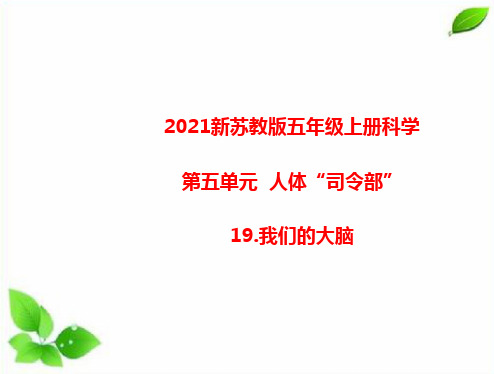 苏教版科学五上第五单元人体司令部《19.我们的大脑》