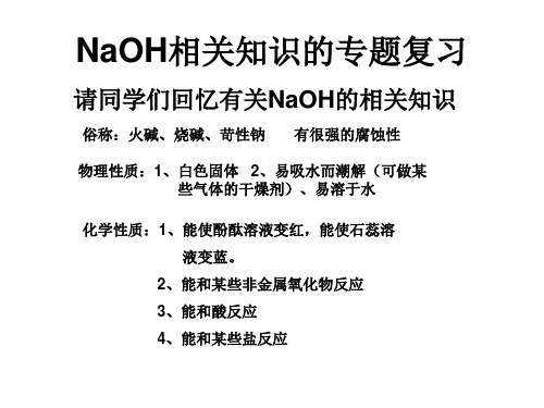 人教版化学下册氢氧化钠专题复习课件PPT(12张)(共12张PPT)