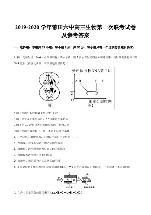 2019-2020学年莆田六中高三生物第一次联考试卷及参考答案