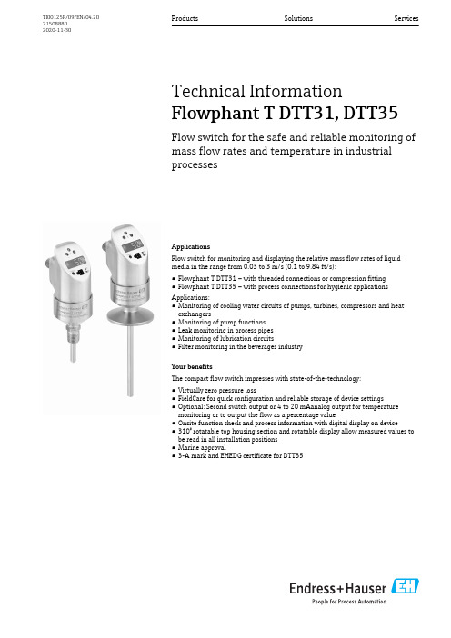 流量传感器Flowphant T DTT31和DTT35产品说明说明书