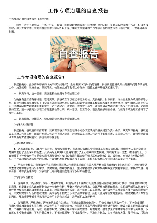 工作专项治理的自查报告