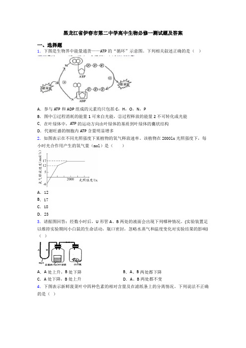 黑龙江省伊春市第二中学高中生物必修一测试题及答案