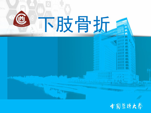 下肢骨关节损伤(1)-精品医学课件