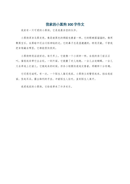 我家的小黑狗300字作文