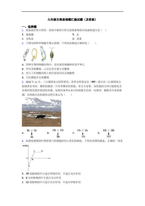 九年级生物易错题汇编试题(及答案)