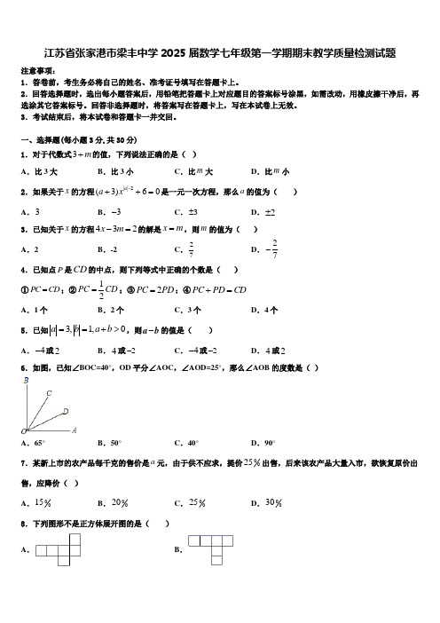 江苏省张家港市梁丰中学2025届数学七年级第一学期期末教学质量检测试题含解析