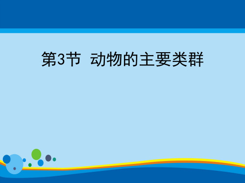 《动物的主要类群》PPT课件下载【精选推荐课件】