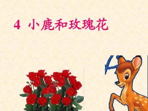 4小鹿的玫瑰花第二课时