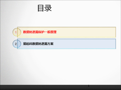 数据防泄漏方案ppt课件