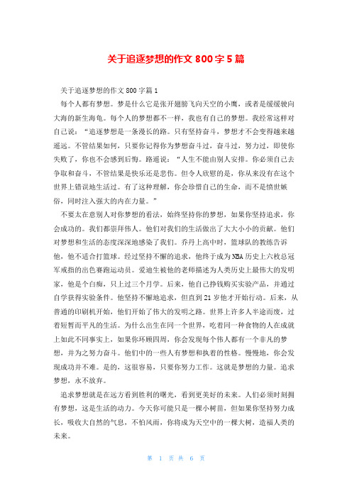 关于追逐梦想的作文800字5篇