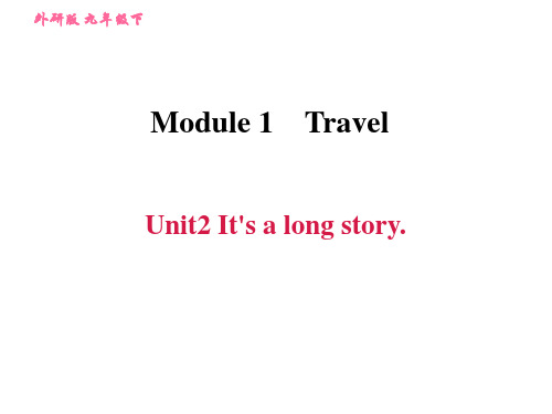 外研版九年级下册英语习题课件：module1 Unit2 It's a long story