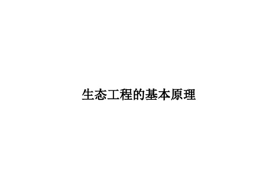 生态工程的基本原理   课件