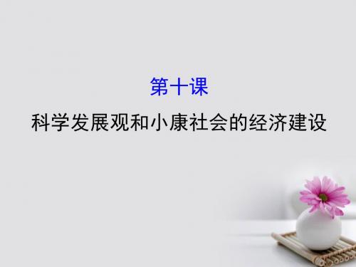 2018年高考政治一轮复习1.4.10科学发展观和小康社会的经济建设课件新人教版必修1