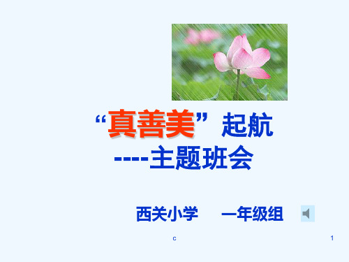 【小学部】真善美小学生德育教育主题班会材料