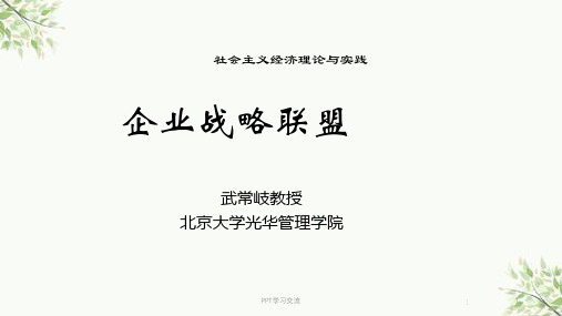 企业战略管理联盟课件