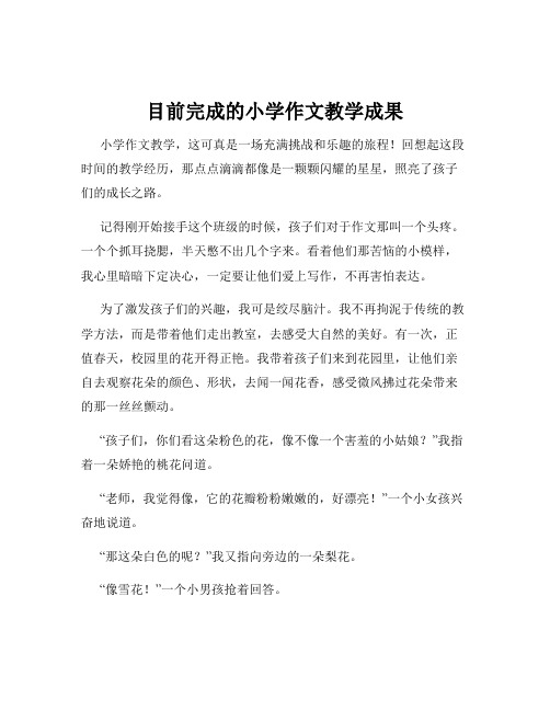 目前完成的小学作文教学成果