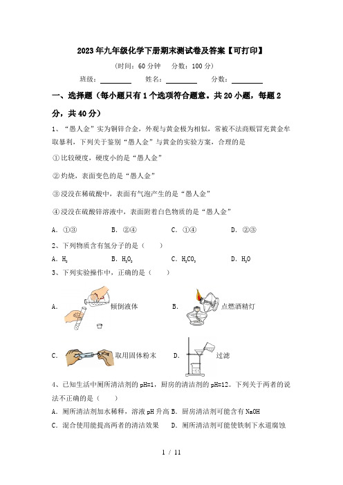 2023年九年级化学下册期末测试卷及答案【可打印】