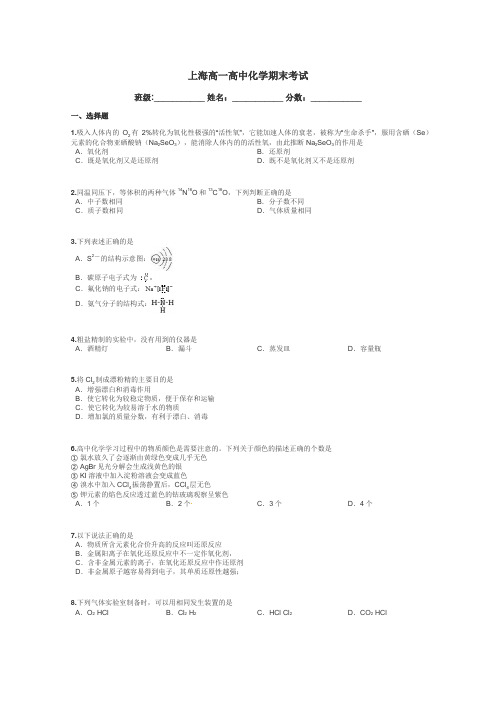 上海高一高中化学期末考试带答案解析
