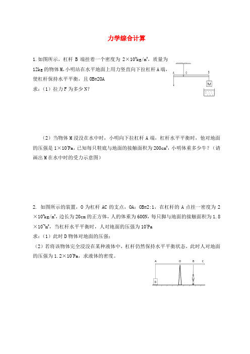 山东省青岛市中考物理 优秀学生拔高练习(无答案)