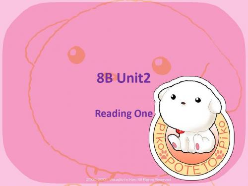 牛津译林版8B英语八年级下册Unit2 Travelling reading公开课课件