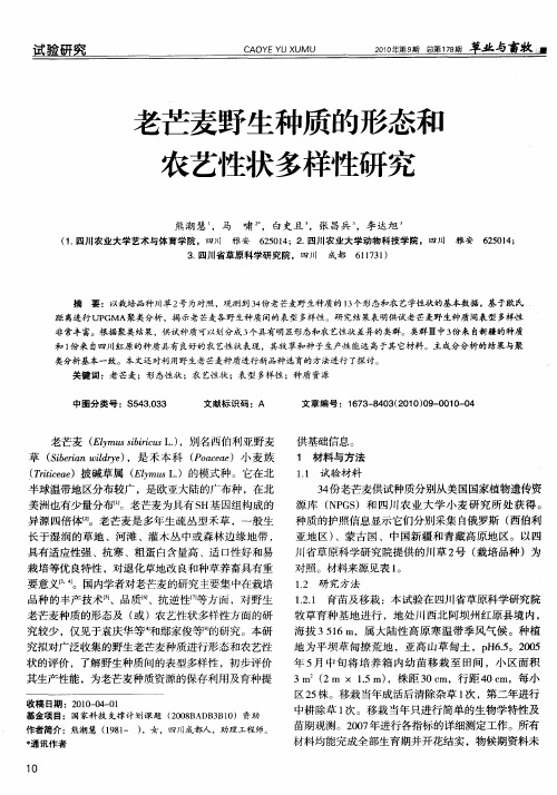 老芒麦野生种质的形态和农艺性状多样性研究