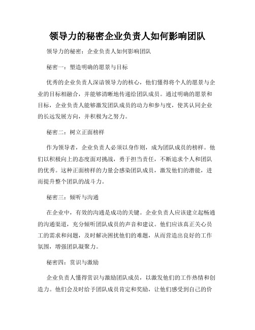 领导力的秘密企业负责人如何影响团队