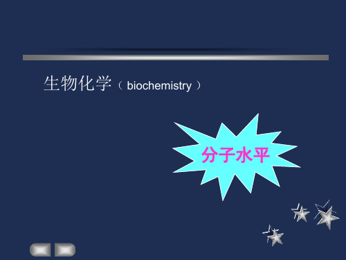 生物化学-蛋白质、酶、氨基酸课件