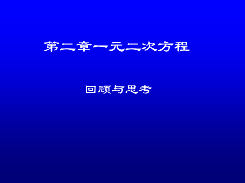 回顾与思考演示文稿