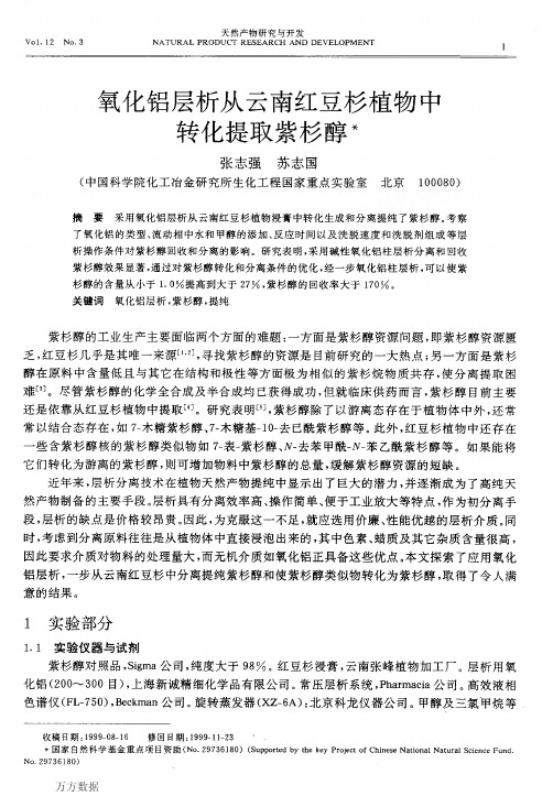 氧化铝层析从云南红豆杉植物中转化提取紫杉醇