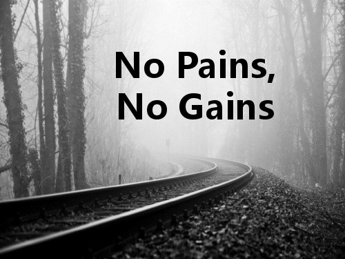 No pain,No gain