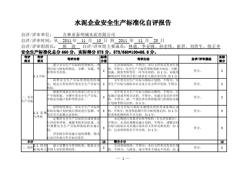 水泥行业安全生产标准化评定标准