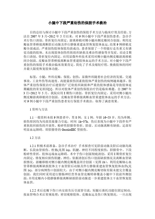 小腿中下段严重创伤的保肢手术救治