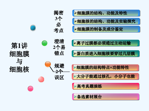 细胞膜与细胞核 PPT课件