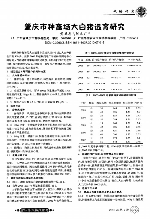 肇庆市种畜场大白猪选育研究