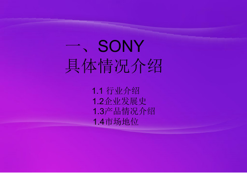 跨国SONY分析PPT