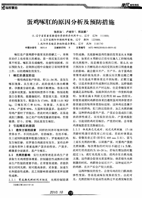 蛋鸡啄肛的原因分析及预防措施