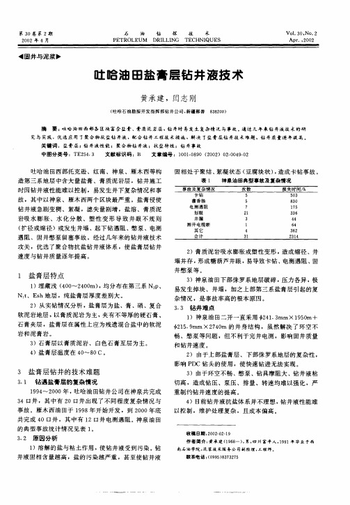 吐哈油田盐膏层钻井液技术