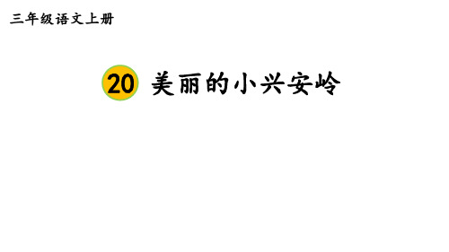 20.《美丽的小兴安岭 》课件(共27张PPT)