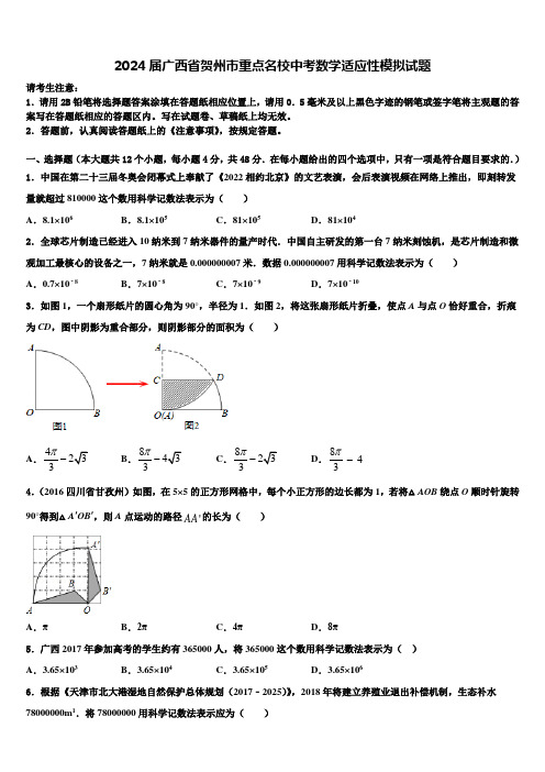 2024届广西省贺州市重点名校中考数学适应性模拟试题含解析