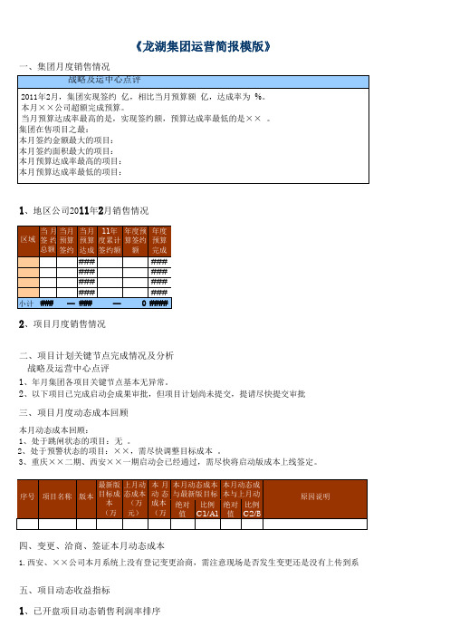 8 龙湖运营月度简报模版