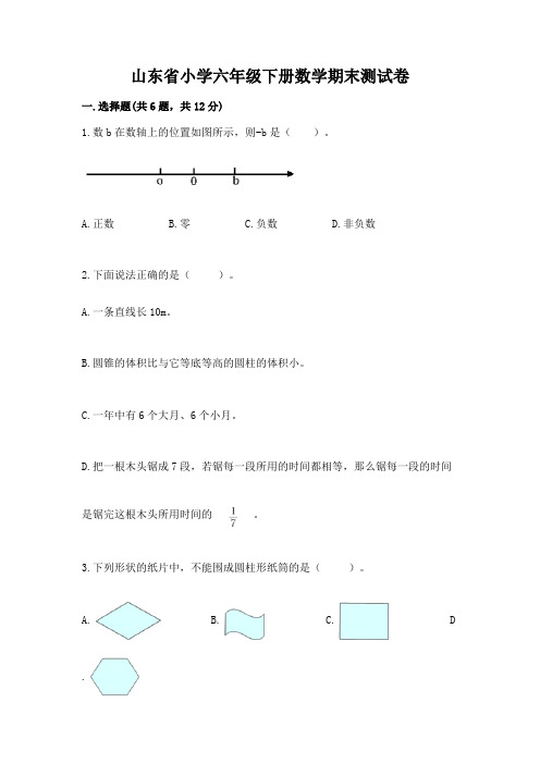 山东省小学六年级下册数学期末测试卷及答案(有一套)