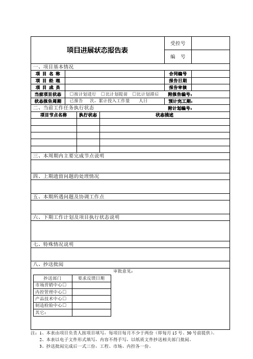 项目状态报告表