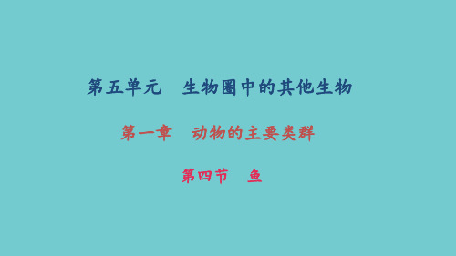 《鱼》练习题