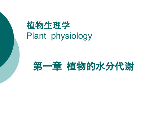 植物的水分代谢.