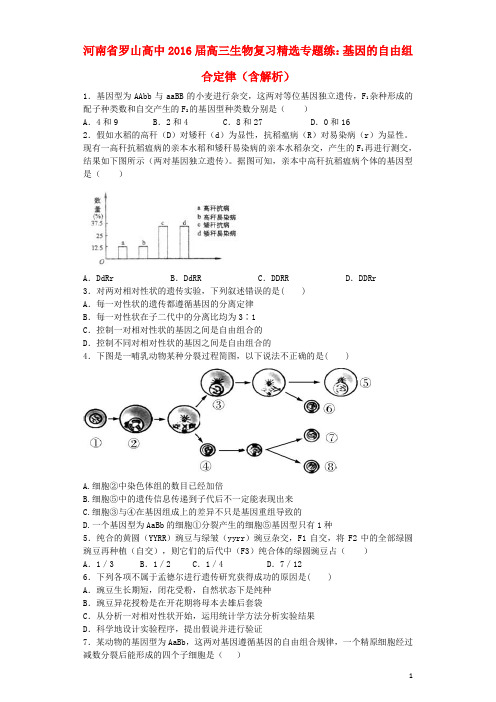 河南省罗山高中高三生物复习精选专题练基因的自由组合定律(含解析)