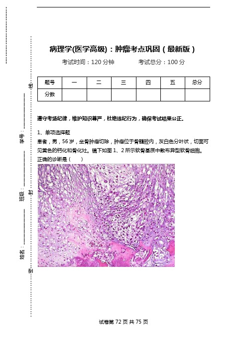 病理学(医学高级)：肿瘤考点巩固(最新版).doc