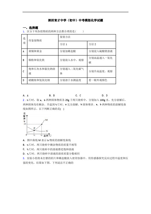 深圳育才中学(初中)中考模拟化学试题