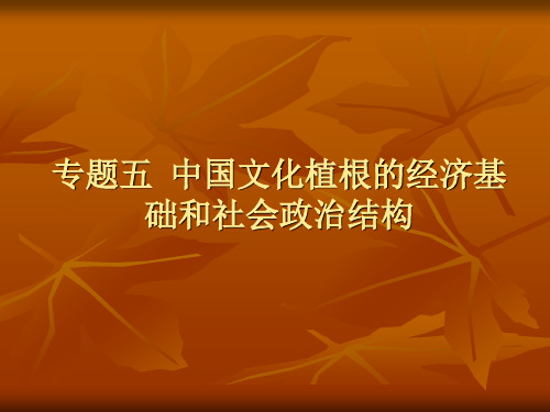 专题五  中国文化植根的经济基础和社会政治结构