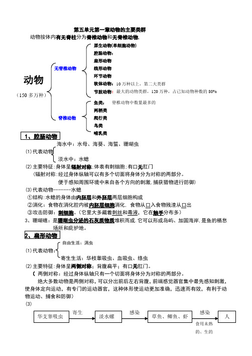 新人教版八上无脊椎动物知识点