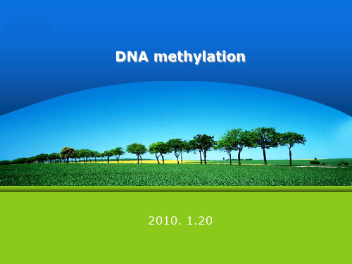 DNA甲基化ppt课件